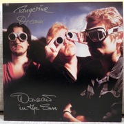 TANGERINE DREAM WARSAW IN THE SUN CBS 12AP3038 12 JAPAN WINYL MAXI
