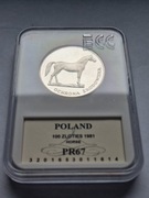 100zł Ochrona Środowiska Koń PR67 ładny