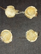 Plomby jednostki wojskowej PRL?