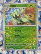 Floragato 0204/08 CBB1C NM Rotary Holo Pokémon TCG Chińska