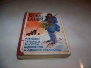 MAYNE REID -WODĄ I LĄDEM PRZYGODY CZTERECH MŁODYCH