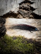 Streamer okoniowy 6/7CM