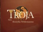 Troja Sen Henryka Schliemanna Praca zbiorowa