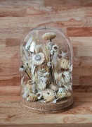 Suszone kwiaty w szkle, wieczne kwiaty, stroiki w szkle na stół