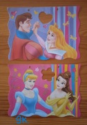 KARTECZKI KOLEKCJONERSKIE DO SEGREGATORA - KSIĘŻNICZKI DISNEY'A (9)
