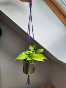 Kwietnik z fioletowego sznurka 