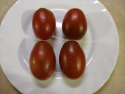 Pomidor rosyjski Chernyi Mavr