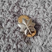 Przypinka - USN - Commander O-5 (Collar Device) CDR (Mini-Size)