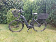 Bergamont e-horizon expert