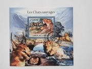 (1700) blok zwierzęta kotowate