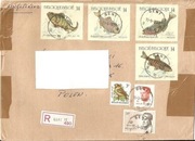 Ryby i inne znaczki na liście z Belgii