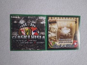 Vlepki Śląsk Wrocław & Wisła Kraków #2