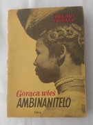 Gorąca wieś AMBINANITELO – Arkady Fiedler