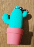 Pendrive kwiatek  kaktus