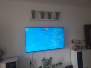 Telewizor + wysięgnik obrotowy i podstawka