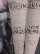 Brehm Życie zwierząt dwa tomy