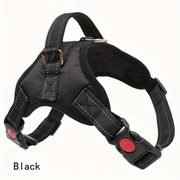 szelki dla psa regulowane