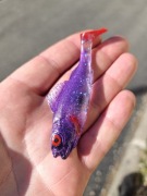 Przynęta gumowa Alpha Real Fish okoń 9cm limitowana edycja 