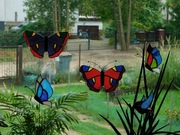 Motyl witrażowy czerwony 