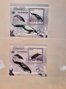 Komory 2009 Mi 2450-4  wieloryb walenie komplet lux bloków zestaw idealny