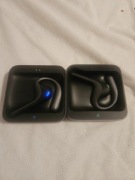 Timekettle w4 pro