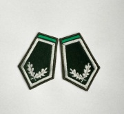 Dystynkcje, naszywki Uczeń Szkoły Leśnej