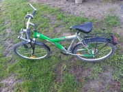 Rower dziecięcy Pegasus 