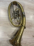 Tenorhorn Weltklag. 