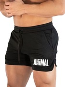 Spodenki sportowe męskie na siłownie ANIMAL