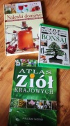 3 Albumy bonsai ,nalewki i zioła plus butelka porcelanowa 
