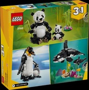 KLOCKI LEGO CREATOR 31165 3w1 RODZINA PAND, OREK lub PINGWINÓW 