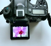 Lustrzanka Sony a 77 II