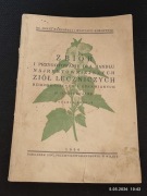 Zioła Lecznicze Wilno 1936 