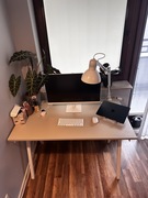 TROTTEN office desk