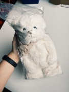 Pluszowy miś Bukowski + torba shopper