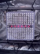 GrowTheJungle LT 100W LED (Do roślin) 