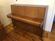 Pianino Calisia - idealne do nauki