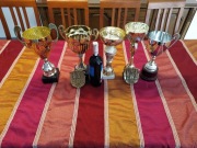 Puchar, trofeum