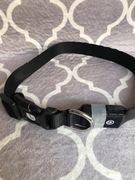 PcEoTllar obroża dla psa led