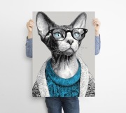 Kot w niebieskim swetrze - grafika na plakacie na A3