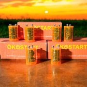 Starter Elektroniczny , zapłonnik , statecznik