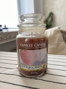 Yankee Candle Cotton candy duża świeca USA