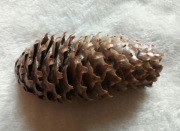 Spinka - Ozdobna klamra do włosów nr 155