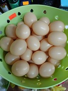 Jajka plastikowe jak żywe