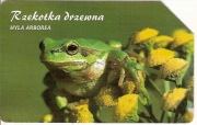 nr 1355 - Zwierzęta chronione 24 - płazy - Rzekotka Drzewna 