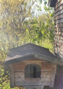 Sprzedam Budę dla psa 