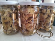 Gąski grzyby marynowane 