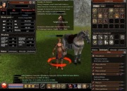 Konto Eldermt2 Woj 51lvl