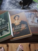 Isabel Allende. Dom duchów,Córka fortuny,Portret w sepi  