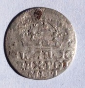 Grosz 1624, Zygmunt III Waza, POL